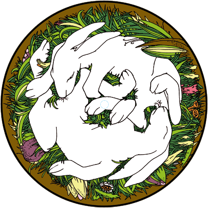 Hasenlove picture disc